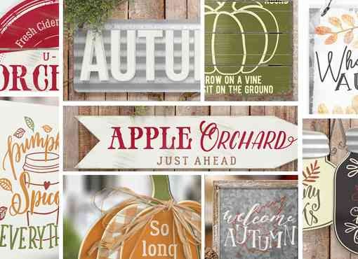 Thankful Harvest 2018