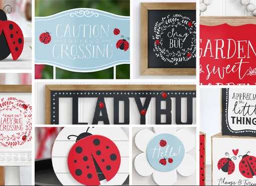 Little Ladybug 2023SP