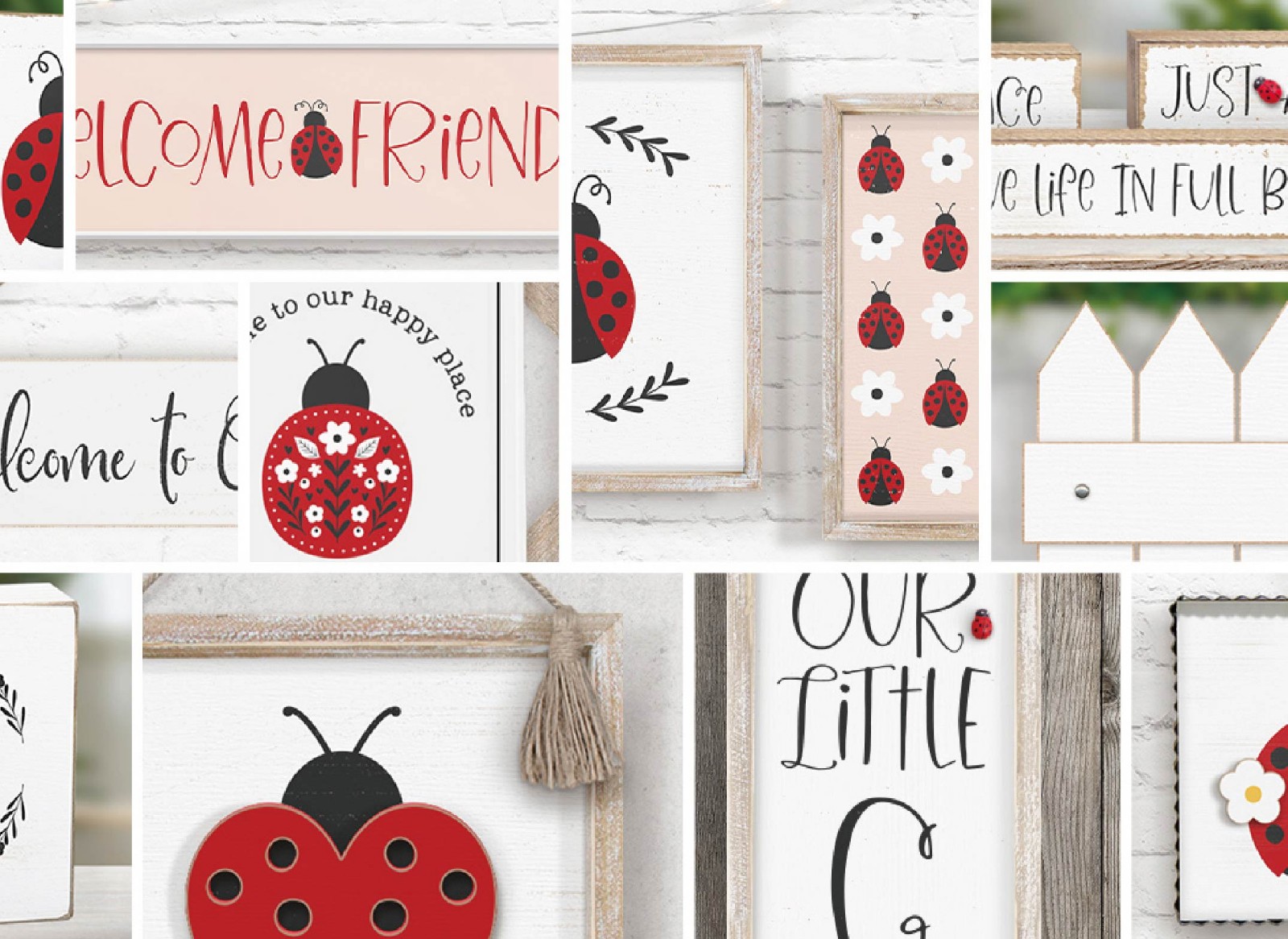 Lucky Ladybug 2024SP