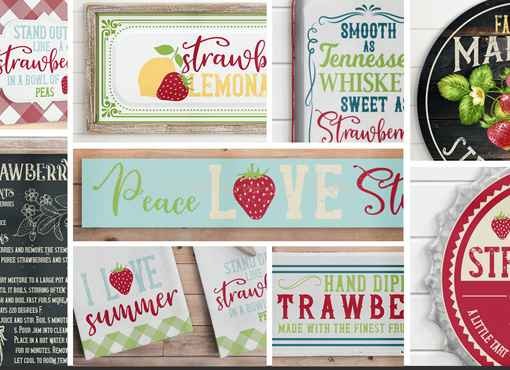 Strawberry Patch 2020